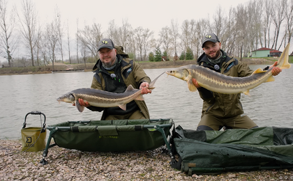 Delphin QUIX METHOD FEEDER - Parte 2 Cañas y equipo complementario