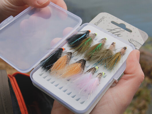Set of artificial flies delphin fly / 10pcs | wild trout - 101006111_8