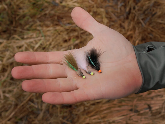 Set of artificial flies delphin fly / 10pcs | wild trout - 101006111_9