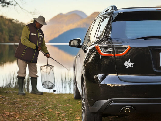 3d autocollant delphin pike chrome - 101005911_3