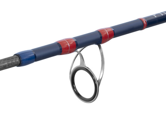 Delphin fyord bigboat - 101005779_4