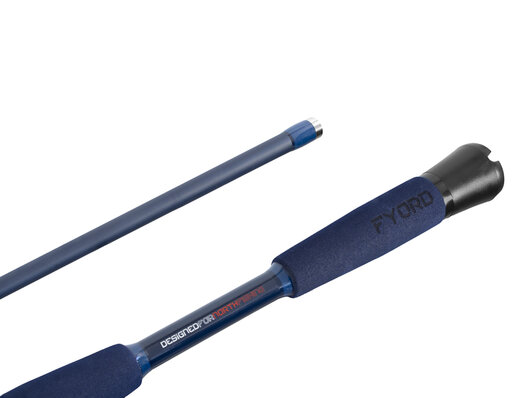 Delphin fyord bigboat - 101005779_7