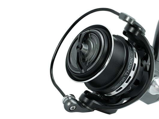 Delphin theox - 101005998_2