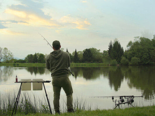 Support de seau delphin top spod - 101004946_9