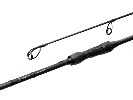 Delphin stingray - 101006681