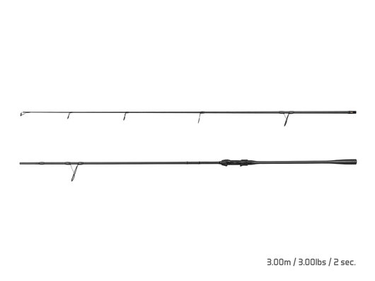 Delphin stingray - 101006681_1