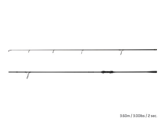 Delphin stingray - 101006681_2