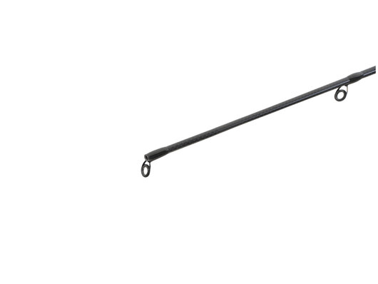 Delphin dimenzia - 101005805_4