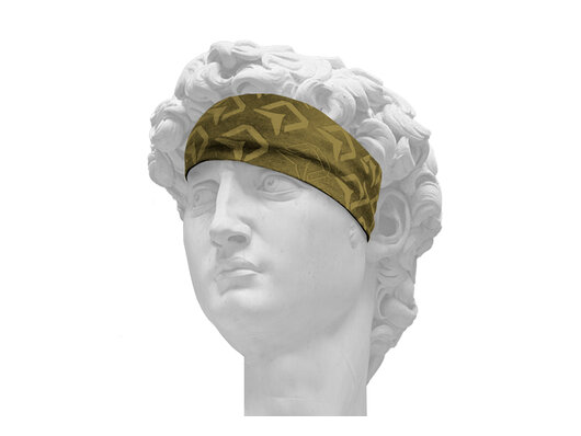 Multifunkčná šatka Delphin RAWER