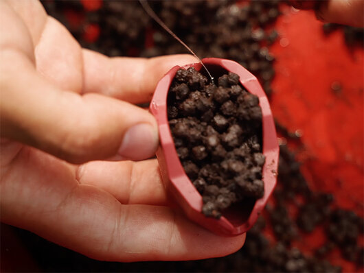 Forma Delphin Method QUIX