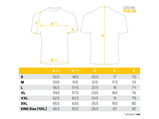 Tričko Delphin Catch me! AMUR