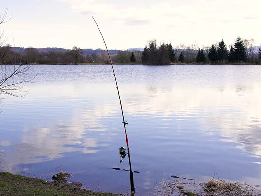 Delphin DANGER CatFISH | 255cm/350g/2diely