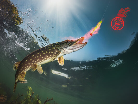 Dipovací sprej Delphin STINX SPRAY/30ml | Ustrica /červený