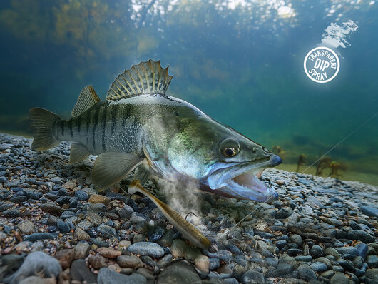 Dipovací sprej Delphin STINX SPRAY/30ml | Ustrica /transparentný