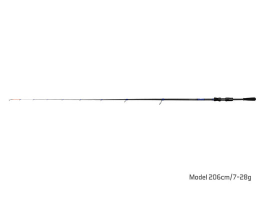 Delphin HOAX / 1 diel