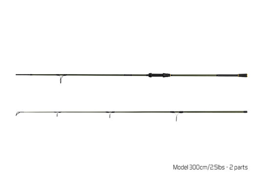 Delphin NEXIS CARP / 2-diel