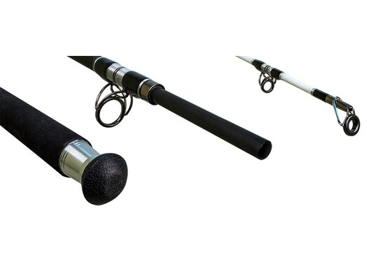 Delphin SNOW Catfish