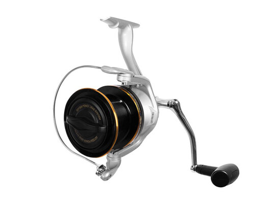 Delphin ODYSEA | veľ.10000