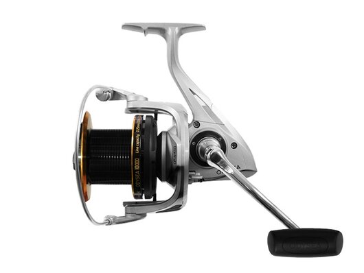 Delphin ODYSEA | veľ.10000