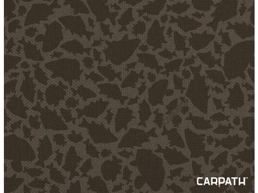 Delphin Area LEAD Carpath