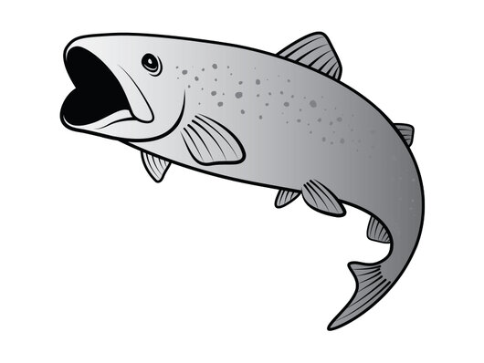 Nálepka pstruh SILVER