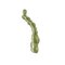 Bas de ligne delphin scamo boilie rig / 2 pcs - CLAMZ_0001 (1)