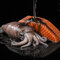 Booster delphin breax/seaker - 101007206_4