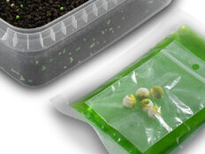 Pellet box Delphin Reaxe READY&GO | Ajo-Butírico/400 g + 120 ml booster + wafters 10 mm