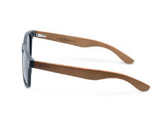 Gafas polarizadas Delphin OAX