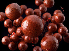Boilies en dip Delphin BreaX/SweetBERRY