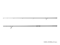 Delphin CASTIX