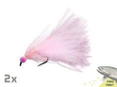 Set de moscas artificiales Delphin FLY / 10 unidades | Pond trout