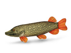 Lucio de peluche Delphin PIKY  | 60 cm