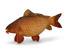 Peluche carpa Delphin CARPY  | 60 cm
