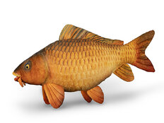 Peluche carpa Delphin CARPY  | 60 cm