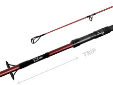 Delphin ETNA E3 TRIP | 3,90 m / 3,50lbs / TeleFIX