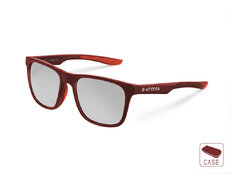 Gafas polarizadas Delphin SG ATOMA