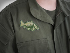 Parche Delphin CARP