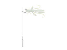 Anzuelo B! D-SHOT WACKY / 8pcs 