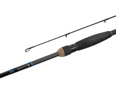 Delphin ADDYCT FLW 2 piezas