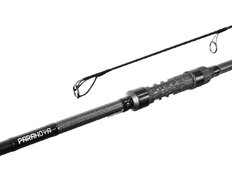 Delphin PARANOYA / 2 tramos | 13’ / 3,50lbs