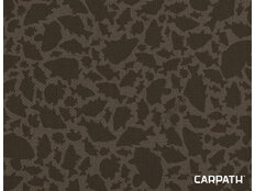 Delphin GT8 Carpath