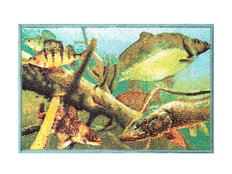 Alfombra Delphin AQUA 