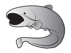 Pegatina SILVER de siluro