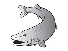 Pegatina lucio SILVER