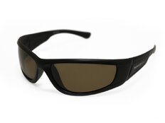Gafas polarizadas Delphin set - PROFI
