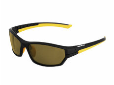 Gafas polarizadas Delphin SG POWER