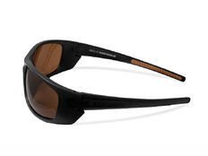 Gafas polarizadas Delphin SG ESO