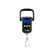 Báscula digital Delphin XILO 50