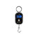 Báscula digital Delphin MINIO